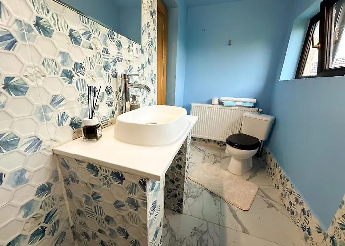 Octapus Крайова